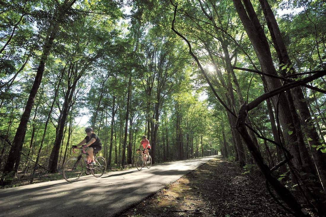 Best E-Bike Trails in Jacksonville
